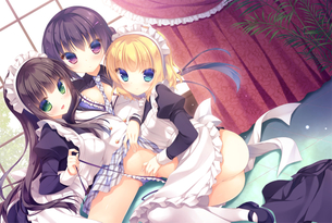 【二次・ZIP】卑猥な妄想膨らむ可愛いメイドさんの2次画像