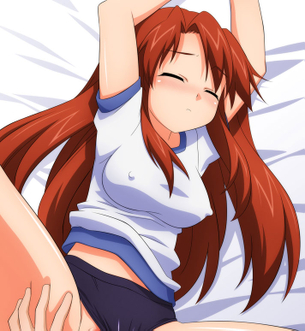 【涼宮ハルヒの憂鬱】朝比奈みくるのエロ画像で抜きたくなったから貼ってくよ