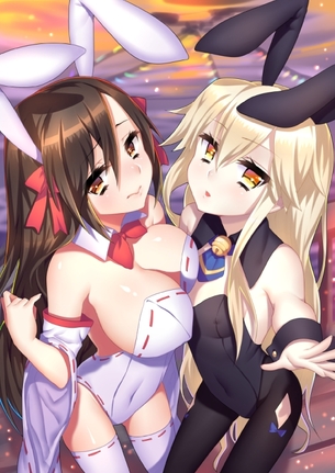 【二次・ZIP】レオタードをずらして挿入したい可愛いバニーガールの2次画像