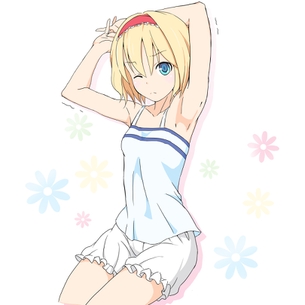 【二次・ZIP】チンコ擦り付けたくなっちゃうエッチなワキした美少女画像