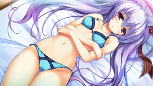 ずっと眺めていたくなる、オススメの二次元美少女のエロ画像 vol.6