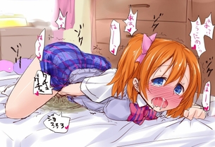 【ラブライブ！】高坂 穂乃果の二次エロ画像② 50枚