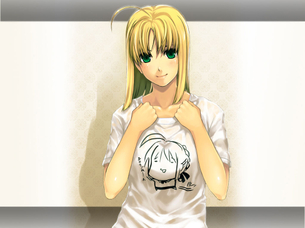 2次元 Fate/Zeroがかなり面白そうなんでFateのエロ画像 100枚