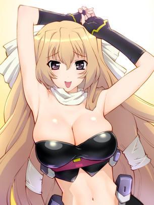 境界線上のホライゾンのエロ画像を集めました。（浅間、喜美、ミトほか） vol.2