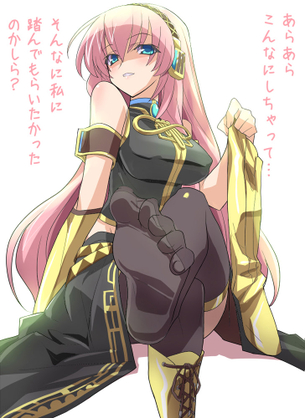 ボーカロイドの二次フェチ画像。