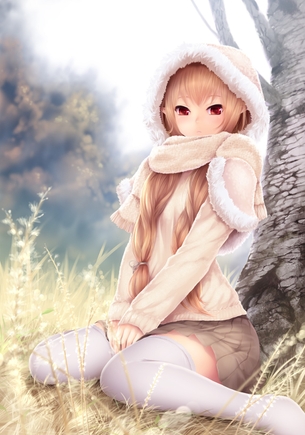 【二次】ニーソックス【画像】 その3