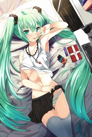 みっくみくにしてくれよwww 初音ミクさんのエロ画像