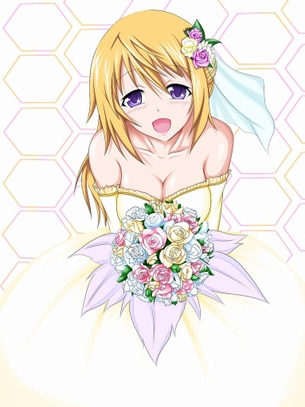 ウェディングドレスの二次エロ画像を愛でる。