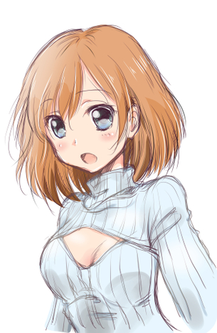 【二次・ZIP】画像増え過ぎな例のタートルネックこと胸開きタートルネック着てる女の子の画像