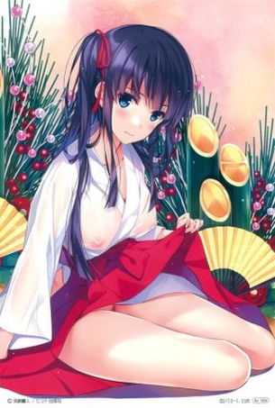 巫女の選り抜き画像♪
