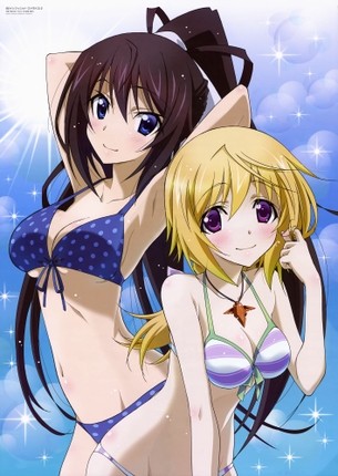 水着とかお風呂とか、アニメのピンナップ画像がエロすぎる vol.9