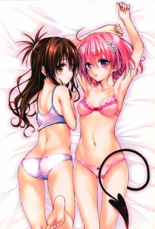 二次の女の子たちのブラやパンツが丸見えになってる下着画像 vol.5