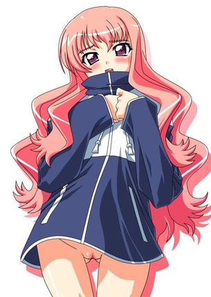 快楽に堕ちそうになってるアヘ顔のルイズ抜けるエロ画像！【ゼロの使い魔】