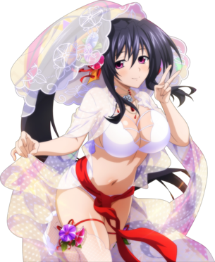 【ハイスクールD×D】 ハイスクールディーディーの剥ぎコラ その241