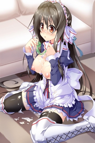ご無体ですわご主人様ｗメイドさんにえっちなことしちゃって怒られてみたい人の為の二次元エロ画像