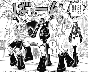 【朗報】ナミとロビンさん、下着丸出しで登場してしまう