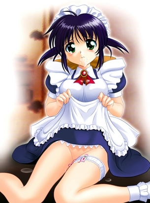 えっちなご奉仕もお任せあれ！おちんちんの御世話もこなせるえっちなメイドさん二次元エロ画像特集♪