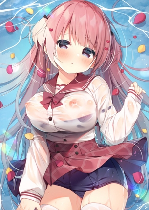 うひょーーーー！！！洋服が透けててえちえちになってる女の子の二次元エロ画像