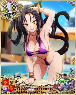 【ハイスクールD×D】 ハイスクールディーディーの剥ぎコラ その228