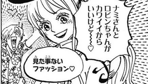 【画像】ワンピースのナミさん、整形するwwwwwwww