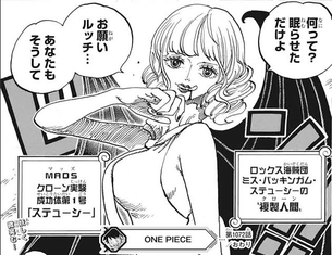 ワンピースのステューシーちゃん(エロい、吸血鬼、実は味方、イキってたルッチ瞬殺)←こいつ