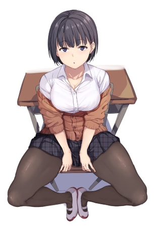 【２次】ストッキングを履いた女の子のエロ画像その６１
