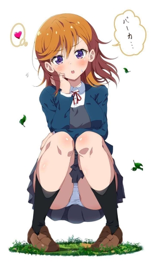 [ラブライブ!][エロ画像]澁谷かのんのしゃがみパンチラでキメたよ～♪