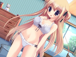 【下着姿】フリルにリボンにアダルトランジェリー…エロ可愛い少女の下着姿画像集【二次エロ画像】