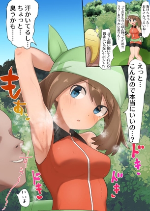 ポケットモンスター【ハルカ】のエロ画像２