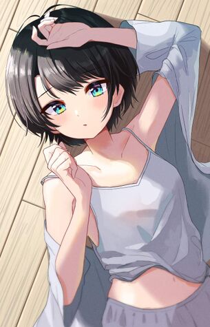 バーチャルyoutuberのエロ画像をランダムに貼っていくスレ