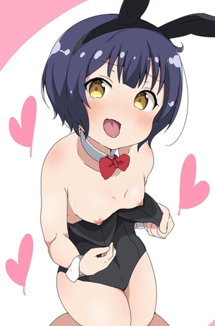 貧乳の二次エロ画像で！