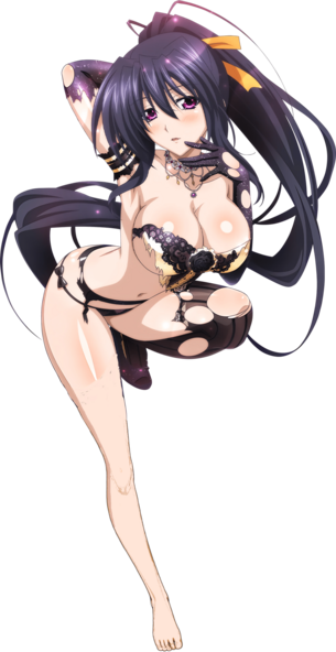 【ハイスクールD×D】 ハイスクールディーディーの剥ぎコラ その292