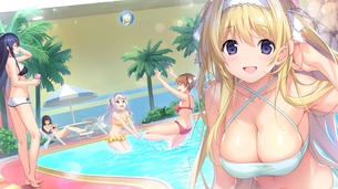 【二次元】複数の水着女子のエロ画像 Part.1 50枚