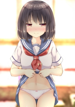 恥ずかしそうにスカートや洋服をたくし上げてパンツやおっぱいを見せてくれてる「変態なの？」って心配になる女の子の二次元エロ画像