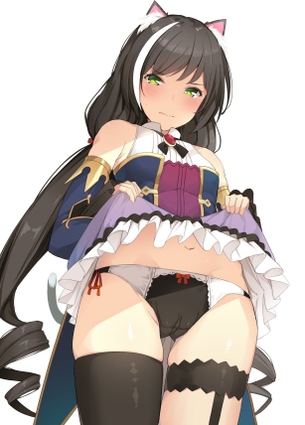 【2次】スカートをたくし上げてる女の子のエロ画像その7