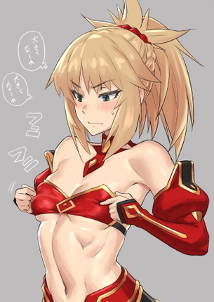 Fateのエロ画像下さい