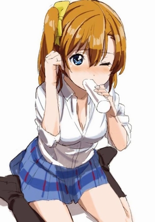 ラブライブ！のよさを再確認できるエロ画像