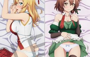 『俺だけ入れる隠しダンジョン』エマとローラのエロいパンツ丸見え姿のエロ抱きまくら！