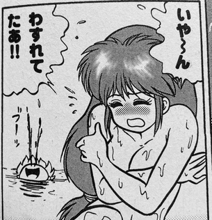 ボンボンにあったエッチな忍者の漫画が思い出せない