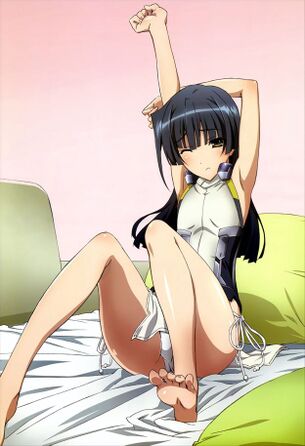 境界線上のホライゾンの二次フェチ画像。