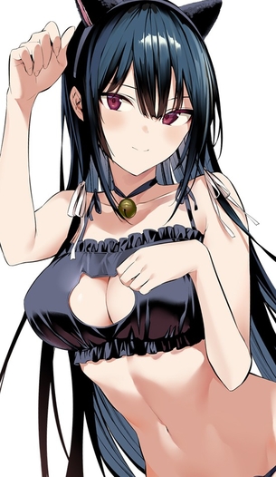 【２次】猫耳っ娘の可愛いエロ画像その１８
