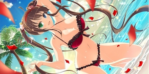 【画像あり】閃乱カグラの公式イラストが一番エロいんだｗｗｗｗｗｗｗ