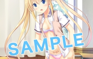 PS4/スイッチ版『さかあがりハリケーン Portable』エロい着替え中の下着丸見え店舗特典！