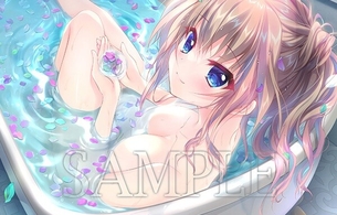PS4/スイッチ版『9-nine-』女の子のエロい裸丸見え入浴シーンなどエロ店舗特典イラスト！（※修正しました）