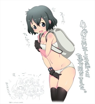 けものフレンズのエロ画像補給中！