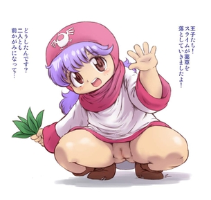 今夜のオナネタ画像はドラゴンクエストでございます。