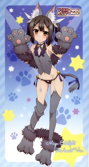 『 プリズマ☆イリヤ』イリヤちゃんや美遊ちゃんなどのエロ画像 その21