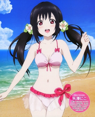 【ラブライブ！】矢澤にこ（やざわにこ）ちゃんの厳選エロ画像 その11