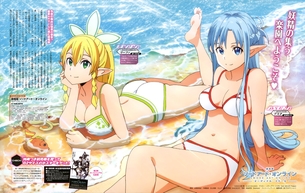 【ソードアート・オンライン（SAO)】 明日奈ちゃんや直葉ちゃんなどの厳選エロ画像 第30弾