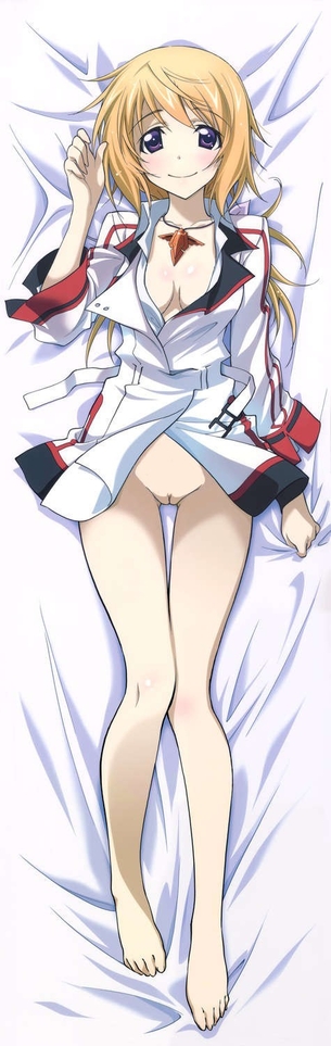 【抱き枕】アニメ・ゲーム系のエロい二次元抱き枕カバーの画像 その40